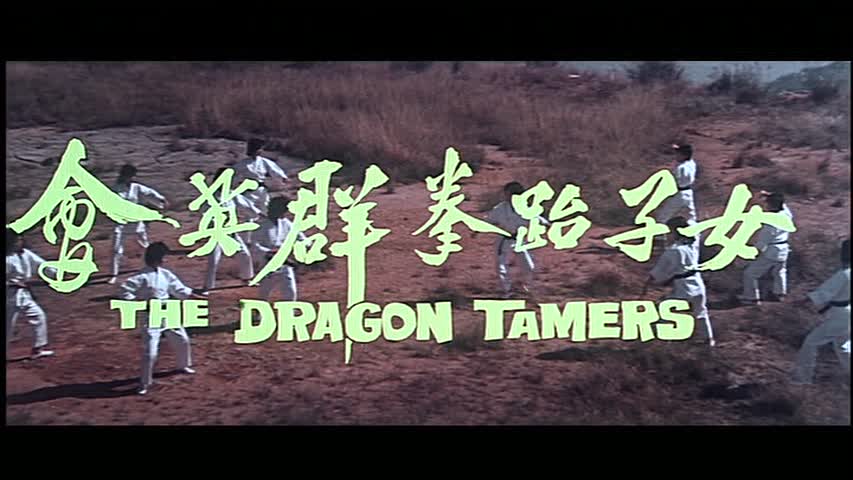 The Dragon Tamers